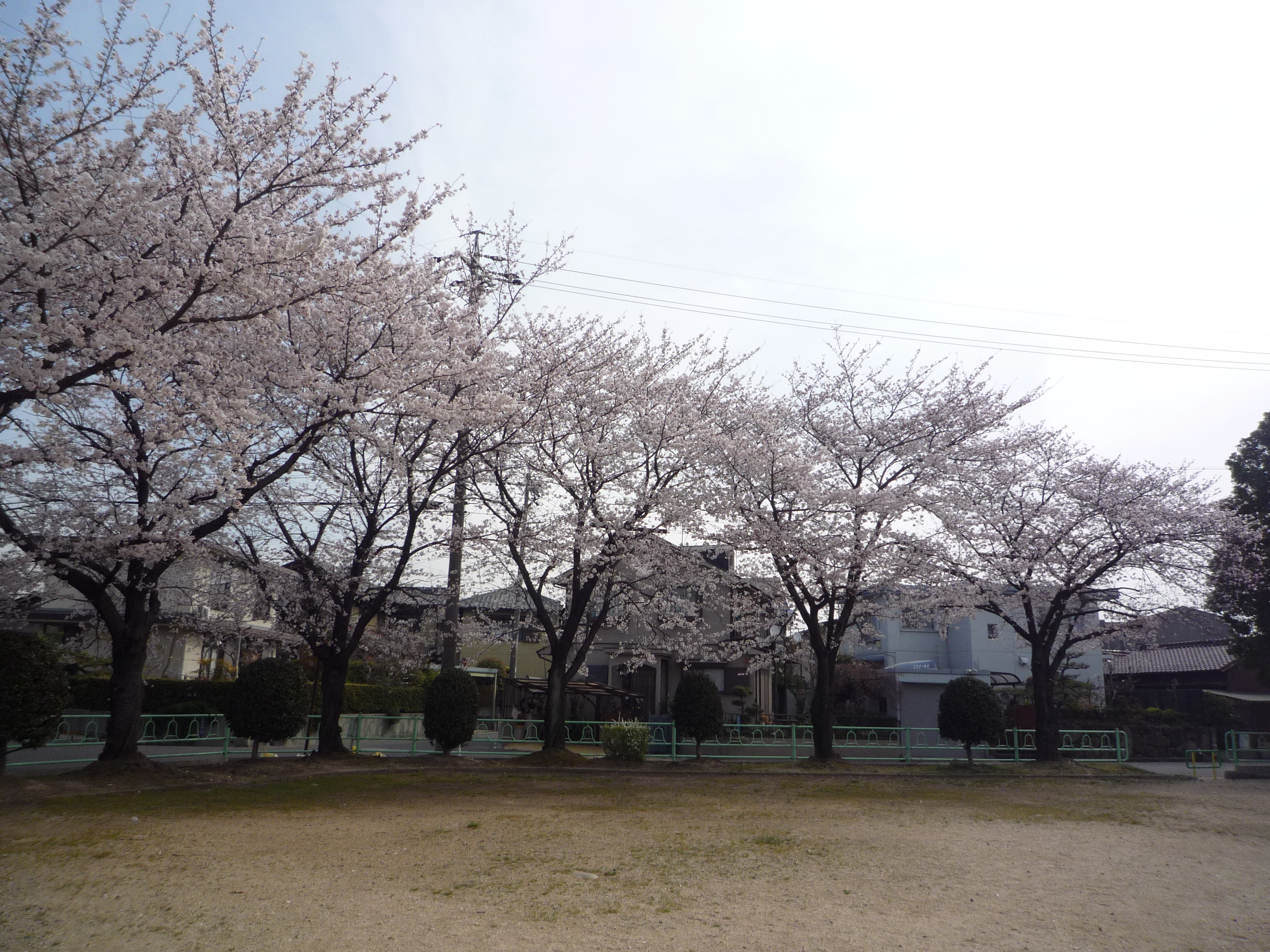 Faturrahman Ikhsan Amin